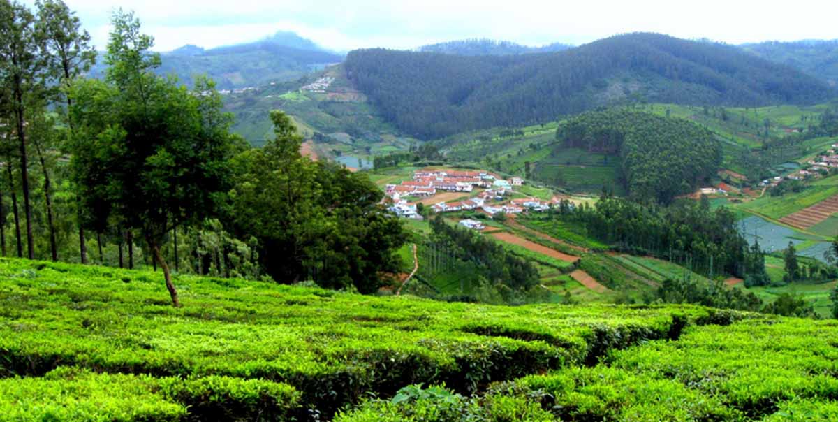 bangalore to ooty tour